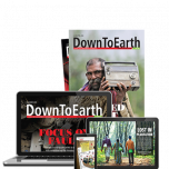 English school print digital 2 year