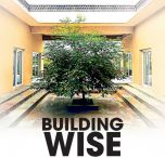 Building Wise
