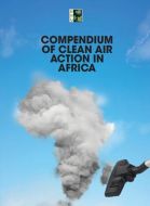Compendium of Clean Air Action in Africa