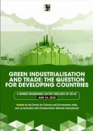 Green Industrialisation and Trade: Roundtable Summary