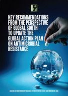 Key Recommendations from the Perspective of Global South to Update the GAP AMR