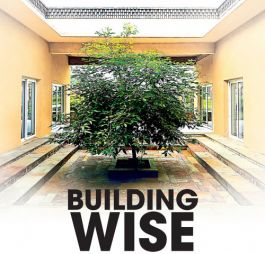 Building Wise