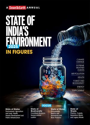 STATE OF INDIA’S ENVIRONMENT 2025 IN FIGURES (EBOOK)