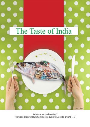 The Taste of India