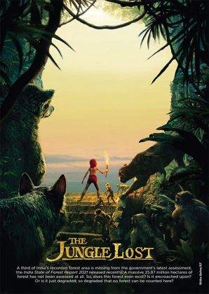 The jungle lost
