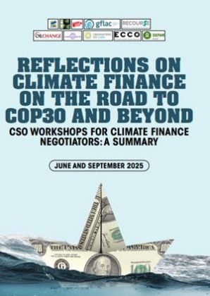 Reflections on Climate Finance on the Road to COP30 and Beyond