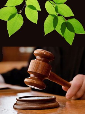 Environment In-Court