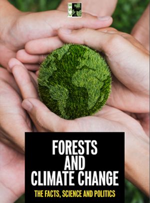 Forests and Climate Change