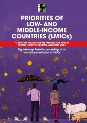 Priorities of Low- and Middle-Income Countries to Inform HLM on AMR at UNGA 2024