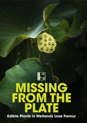 Missing from the Plate: Edible Plants in Wetlands Lose Favour