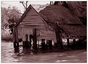 No Doubt At All