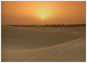 Rivers of Sand
