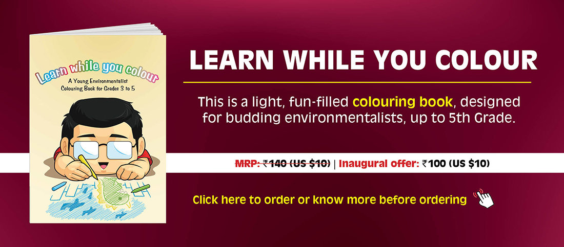 Learn While You Colour