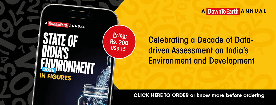 USD - STATE OF INDIA’S ENVIRONMENT 2025 IN FIGURES (EBOOK)