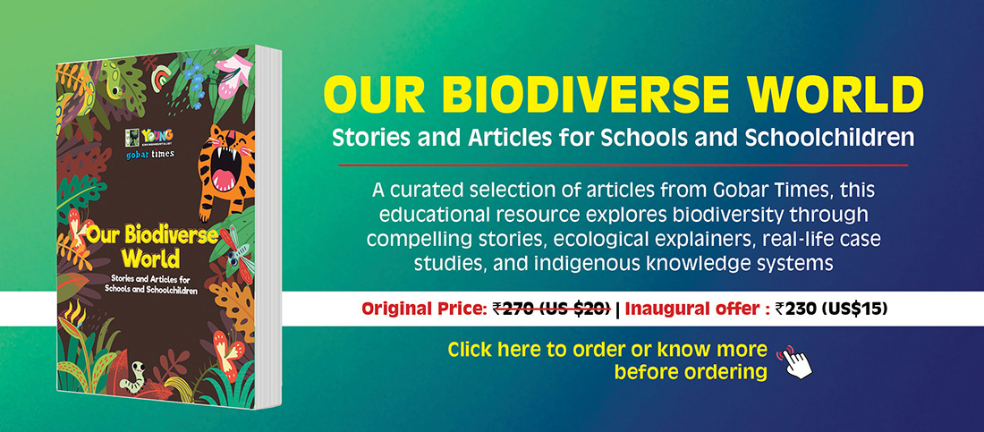 Our Biodiverse World: Stories and Articles for Schools and Schoolchildren